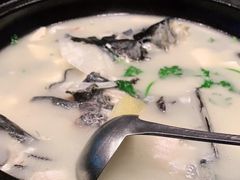 -老淳安—伴山伴湖(千岛湖开元度假村店)