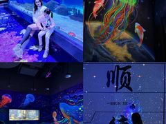 -顺德南宏海立方海洋公园