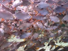 -多彩贵州城极地海洋世界