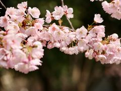-静安雕塑公园