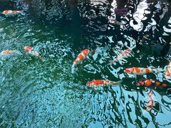 -观唐（国际）度假村温泉