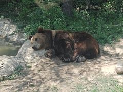 -郑州银基国际旅游度假区
