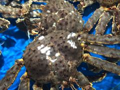 -盒马鲜生(馥邦国际店)