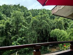 -龙井壹号·茶缘山景宴(龙井村店)