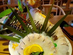 龙趸-尚海豆捞(乐虹坊店)