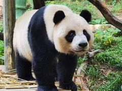 -广州长隆野生动物世界