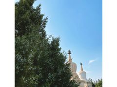-凉州白塔寺景区