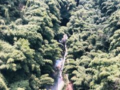 -川西竹海景区