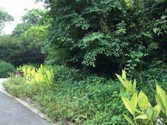 -西湖风景区-江洋畈生态公园