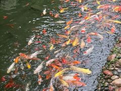 -南通洲际绿博园