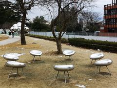 -金泽21世纪美术馆