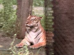 -秦皇岛野生动物园