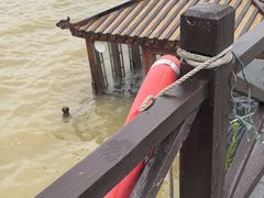 -盐城丹顶鹤湿地生态旅游区