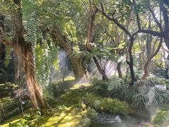 -Chom Cafe and Restaurant