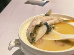 -八分饱·西津会(西津渡店)