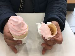 -麦当劳(盐城世纪大道得来速店)