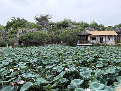 -惠州西湖风景名胜区-丰渚园