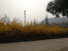 -四门塔风景区