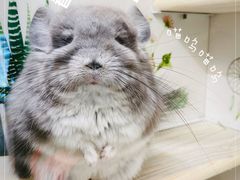 -龙猫仔乐园(惠福东路店)