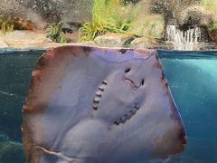 -合肥海洋世界