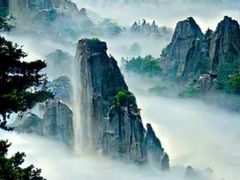 -羊山湖公园