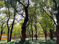 -西园戒幢律寺
