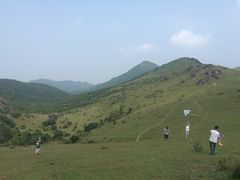 -大姆山草场