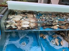 -旺顺阁鱼头泡饼(小红门店)
