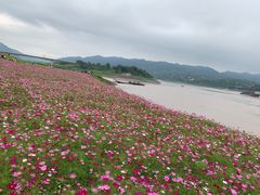 -木洞河街