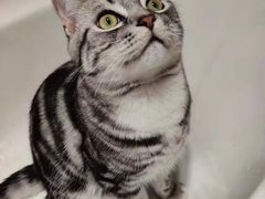 -达爱动物医院·犬猫分区·CT·复杂眼科(远洋山水分院)