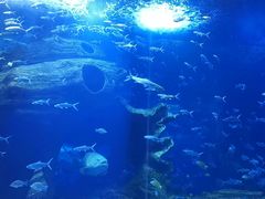 -多彩贵州城极地海洋世界