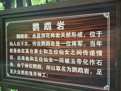 -五女峰国家森林公园