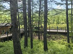 -莫尔道嘎国家森林公园