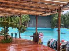 -亚马逊丛林水乐园