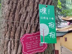 -狼山风景名胜区