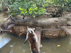 -长鹿旅游休博园
