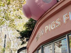 -WHEN PIGS FLY当猪飞