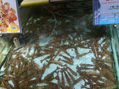 -渔民新村(番禺总店)