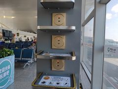 -乌鲁木齐天山国际机场-T3航站楼