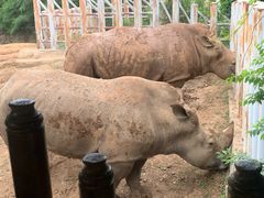 -沈阳森林动物园