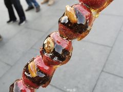 -糖葫芦王保定名吃(古莲花池店)