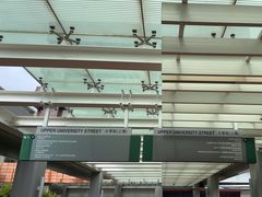 -香港大学