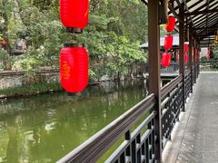 -侨美·唐荔园·40年地道粤菜