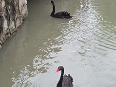 -宁波野生动物园