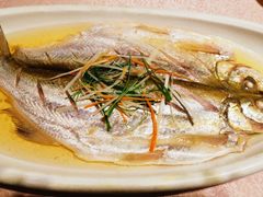 清蒸太湖白鱼-天福苑(崇宁路店)