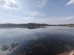 -御道口草原森林风景区