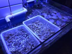 景观位-路边摊小炉子烧烤