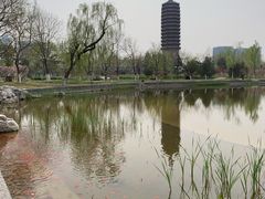 -西海子公园