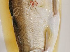 -大鹏饭店·金陵家宴(奥体中心店)