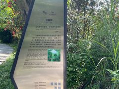 -桤木河湿地公园